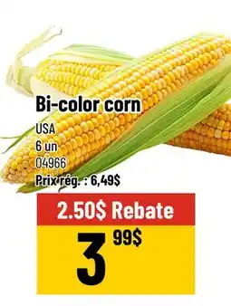 Mayrand Bi-color corn offer