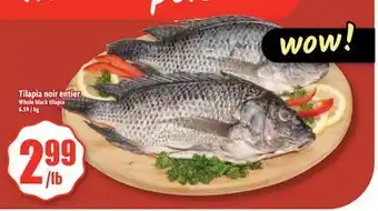 Bonanza Tilapia noir entier offer