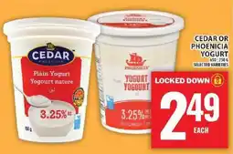 Super C Cedar or Phoenicia Yogurt offer