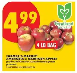 No Frills FARMER'S MARKET AMBROSIA or MCINTOSH APPLES offer