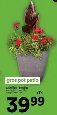 Super C gros pot patio offer
