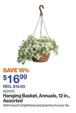 Patrick Morin Hanging Basket, Annuals, 12 in., Assorted offer