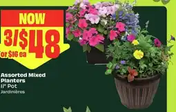 FreshCo Assorted Mixed Planters offer