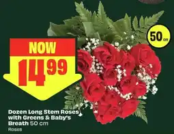 FreshCo Dozen Long Stem Roses with Greens & Baby's Breath offer