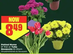 FreshCo Tulip Bouquets offer