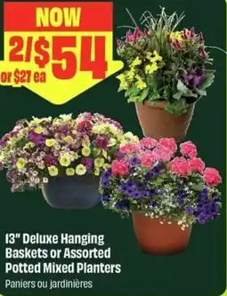 FreshCo Deluxe Hanging Baskets offer