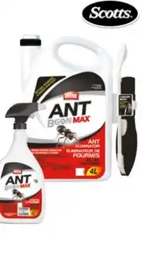 BMR ÉLIMINATEUR DE FOURMIS  ANT B GON MAX  offer
