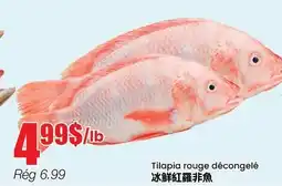 Btrust Supermarket Tilapia rouge décongelé offer