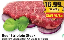 Starsky Beef Striploin Steak offer