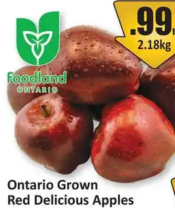 Starsky Ontario Grown Red Delicious Apples offer