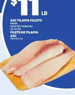 Independent City Market ASC TILAPIA FILLETS offer