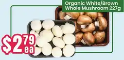 Healthy Planet Organic White/Brown Whole Mushroom offer