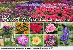 Sheridan Nurseries Sheridan Nurseries and Proven Winners Annuals offer