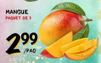 Marche Salaberry MANGUE offer