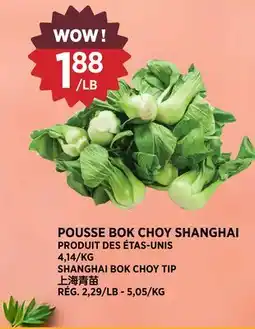 Kim Phat SHANGHAI BOK CHOY TIP offer