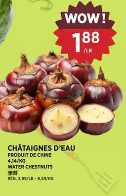 Kim Phat WATER CHESTNUTS offer