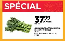 Kim Phat GAILANS (CHINESE BROCCOLI) offer
