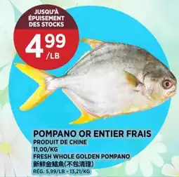 Kim Phat FRESH WHOLE GOLDEN POMPANO offer