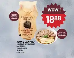 Kim Phat CONGELÉ - L'IMPARFAIT LAC BROME YOUNG DUCK offer