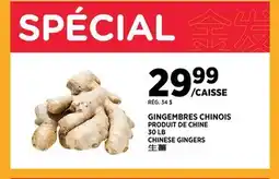 Kim Phat CHINESE GINGERS offer
