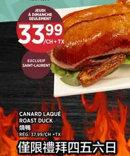 Kim Phat ROAST DUCK offer