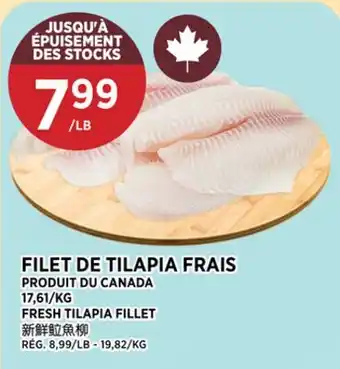 Kim Phat FRESH TILAPIA FILLET offer