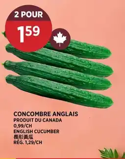 Kim Phat ENGLISH CUCUMBER offer