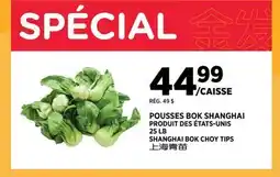 Kim Phat SHANGHAI BOK CHOY TIPS offer