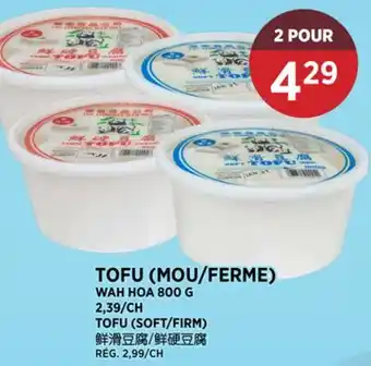 Kim Phat WAH HOA TOFU offer