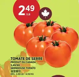 Kim Phat GEENHOUSE TOMATO offer