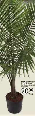 IGA MAJESTIC PALM offer