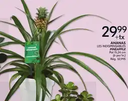 IGA PINEAPPLE offer