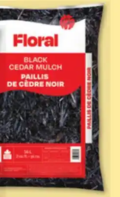 IGA FLORAL MULCH offer