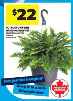 Real Canadian Superstore PC Boston Fern Hanging Basket offer