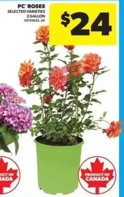 Real Canadian Superstore PC Roses offer
