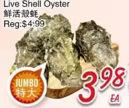 Foody Mart Live Shell Oyster offer