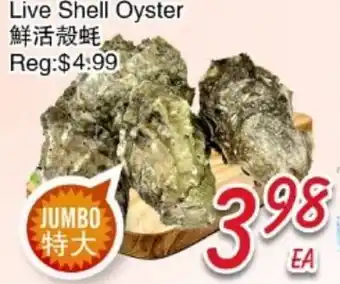 Foody Mart Live Shell Oyster offer