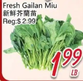 Foody Mart Fresh Gailan Miu offer
