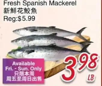 Foody Mart Fresh Spanish Mackerel offer