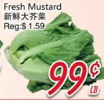 Foody Mart Fresh Mustard offer