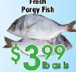 Danforth Food Market Fresh Porgy Fish offer