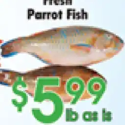 Danforth Food Market Fresh Parrot Fish offer