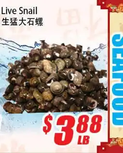 WinCo Food Mart Live Snail offer