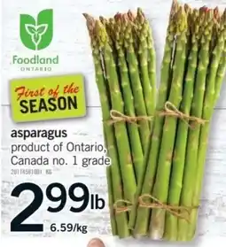 Fortinos Asparagus offer