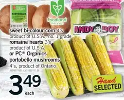 Fortinos Sweet bi-colour corn 4's offer