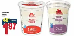 Marché Adonis Phoenicia yogurt offer
