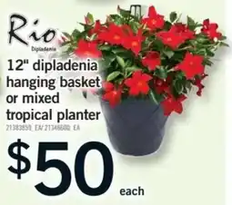 Fortinos 12" dipladenia hanging basket or mixed tropical planter offer