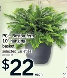 Fortinos PC Boston fern 10" hanging basket offer