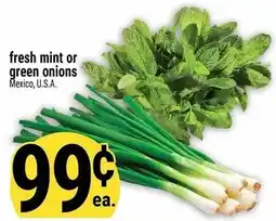 Marché Adonis Fresh mint or green onions offer