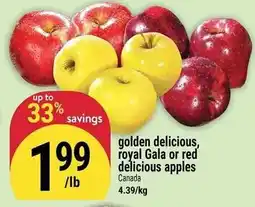 Marché Adonis Golden delicious, royal gala or red delicious apples offer
